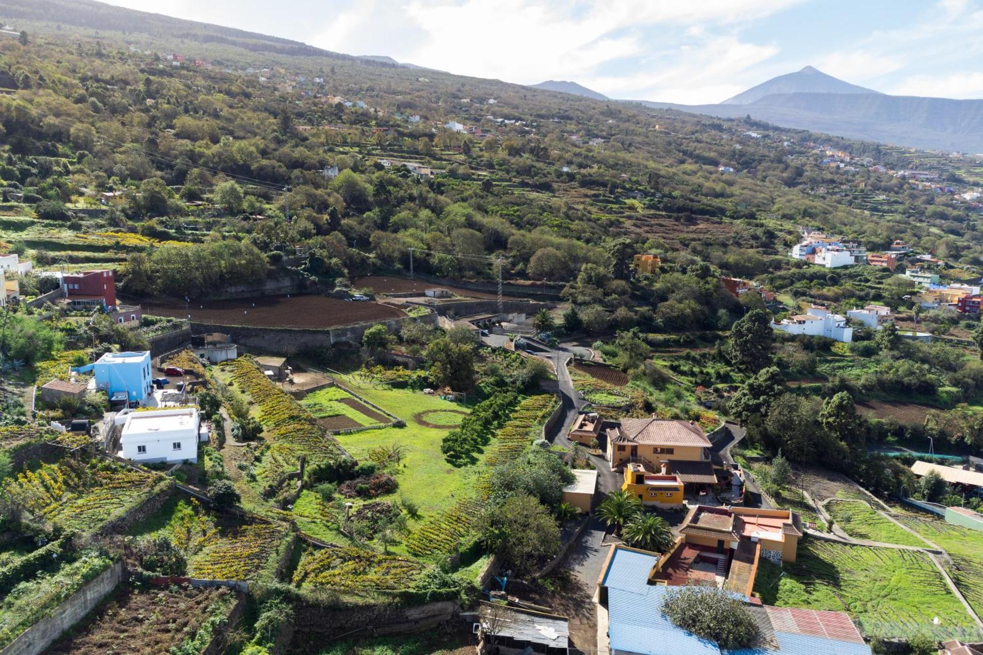 Ek Teide Finca El Milagro Ла Оротава Екстериор снимка