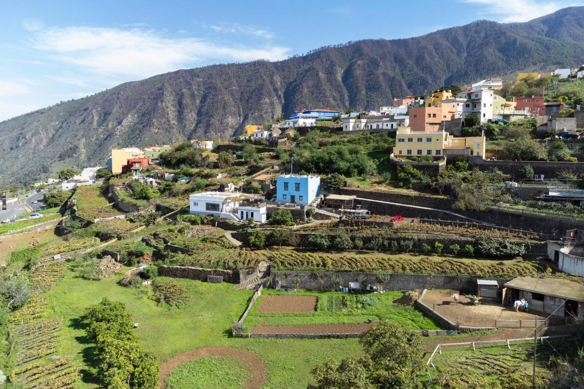 Ek Teide Finca El Milagro Ла Оротава Екстериор снимка