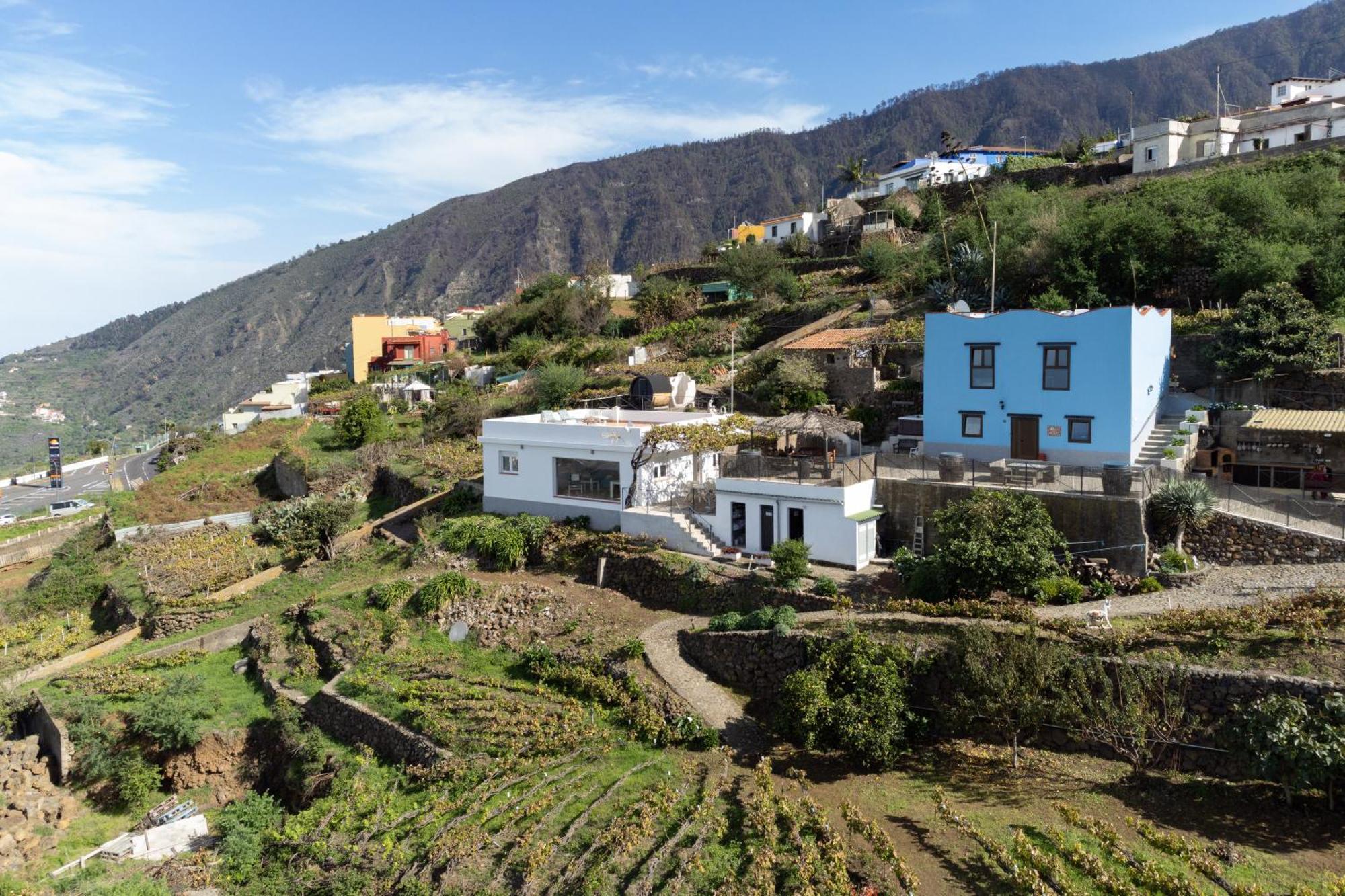 Ek Teide Finca El Milagro Ла Оротава Екстериор снимка