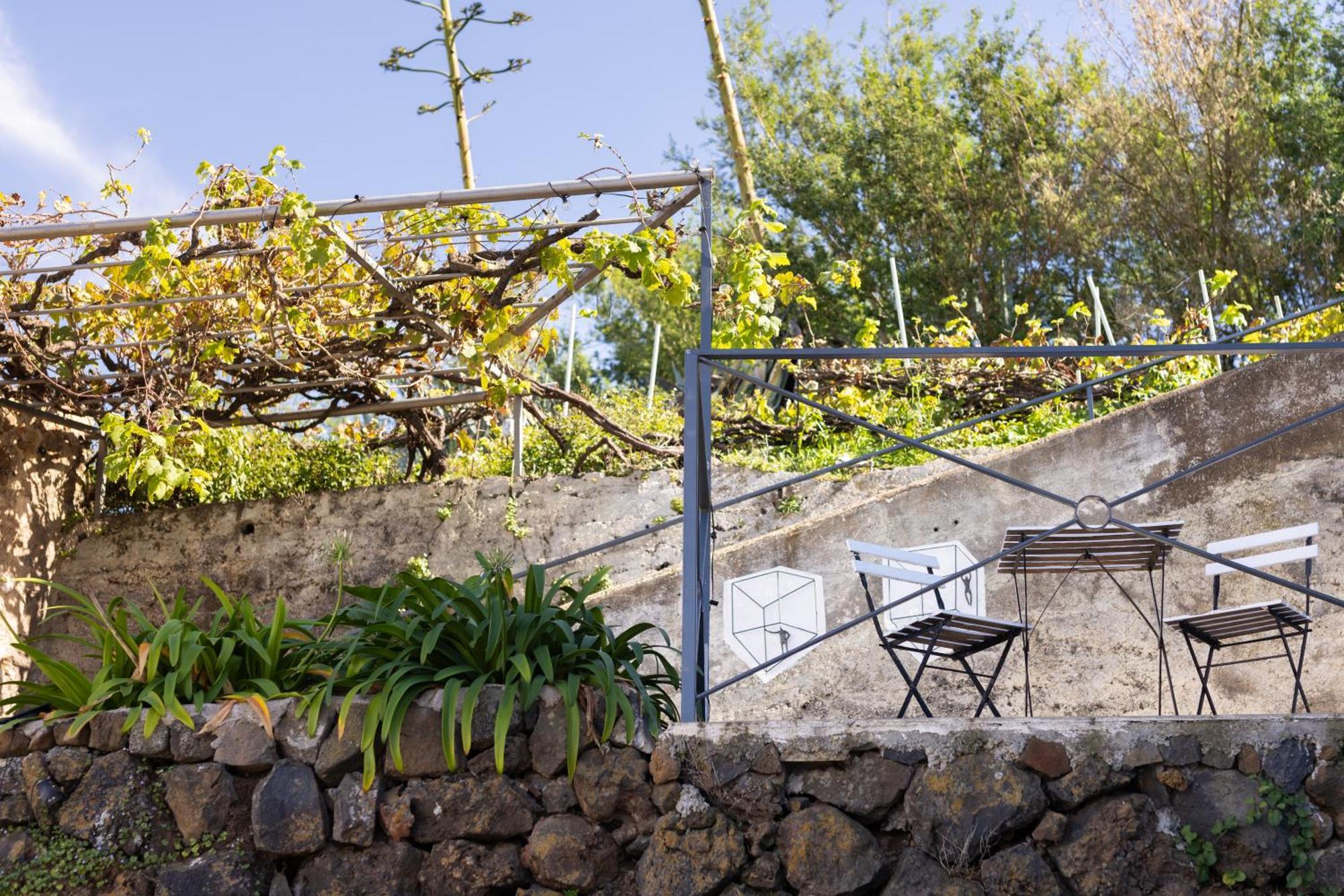 Ek Teide Finca El Milagro Ла Оротава Екстериор снимка