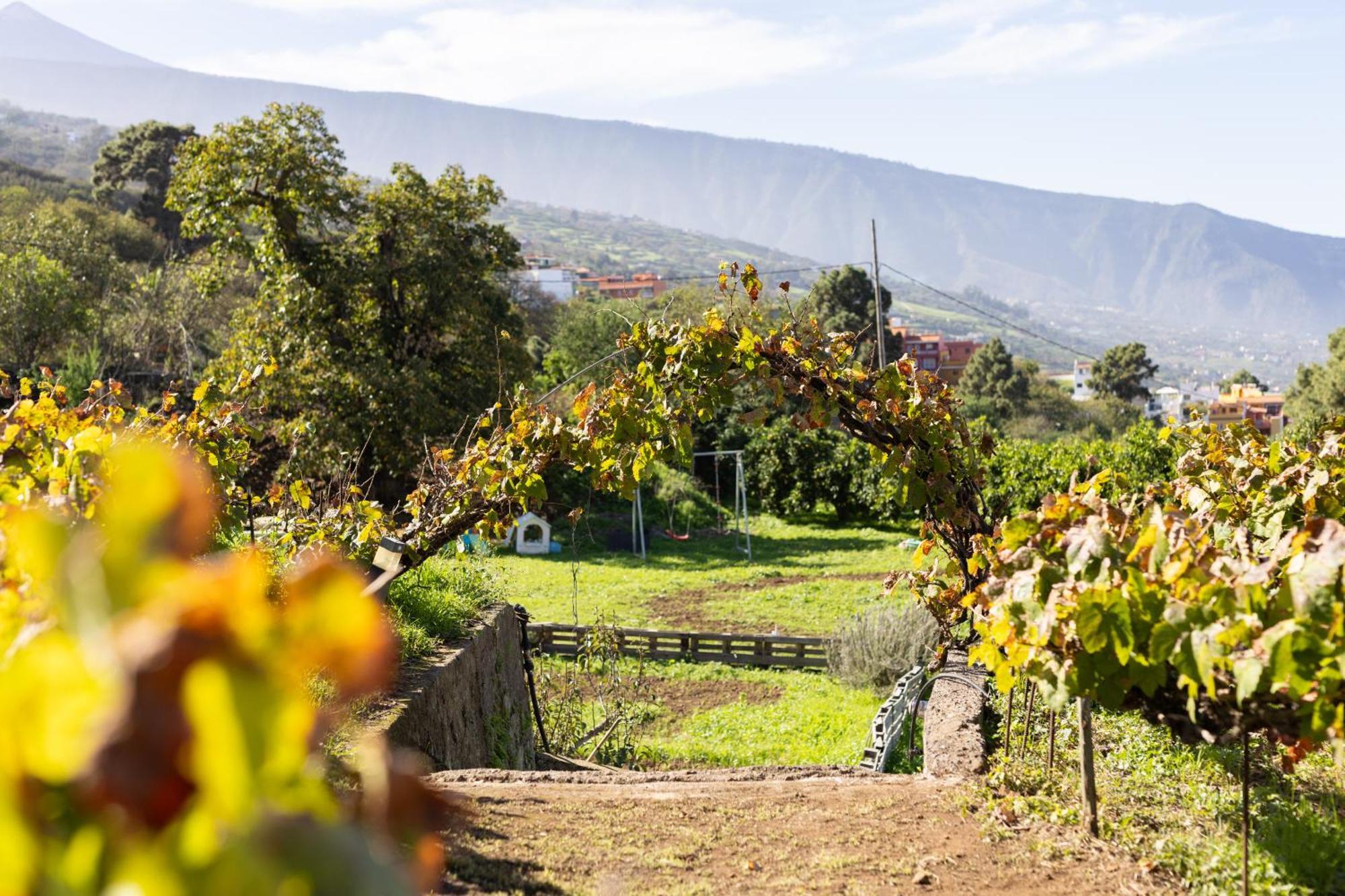 Ek Teide Finca El Milagro Ла Оротава Екстериор снимка