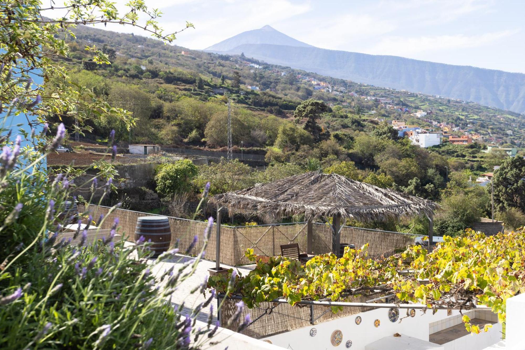 Ek Teide Finca El Milagro Ла Оротава Екстериор снимка